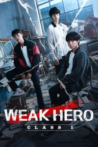 Download-Weak-Hero-S01-Hindi-Dubbed-480p-720p-1080p.jpg
