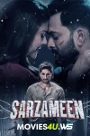 Sarzameen.webp.webp
