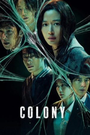 Colony202026.jpg