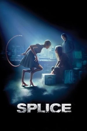 Splice202009.jpg