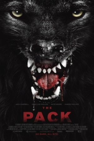 The20Pack202015.jpg